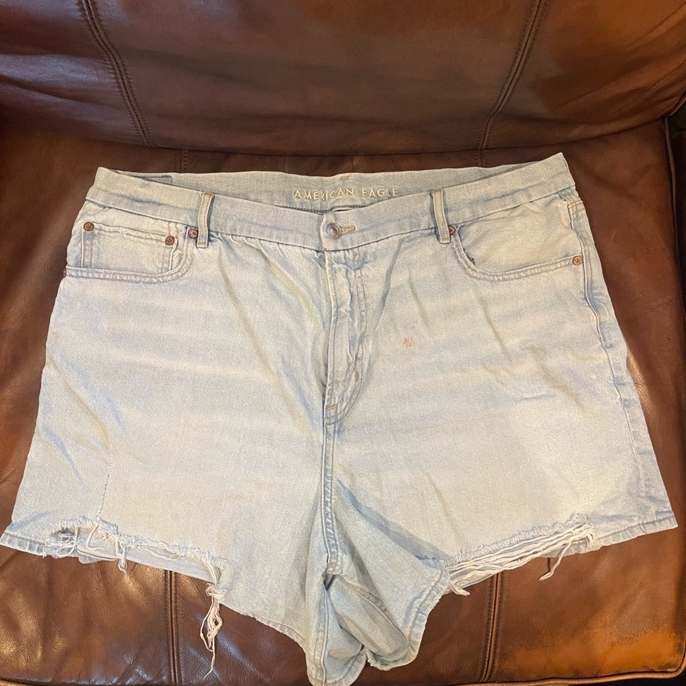 American Eagle Outfitters Light Blue Denim Shorts